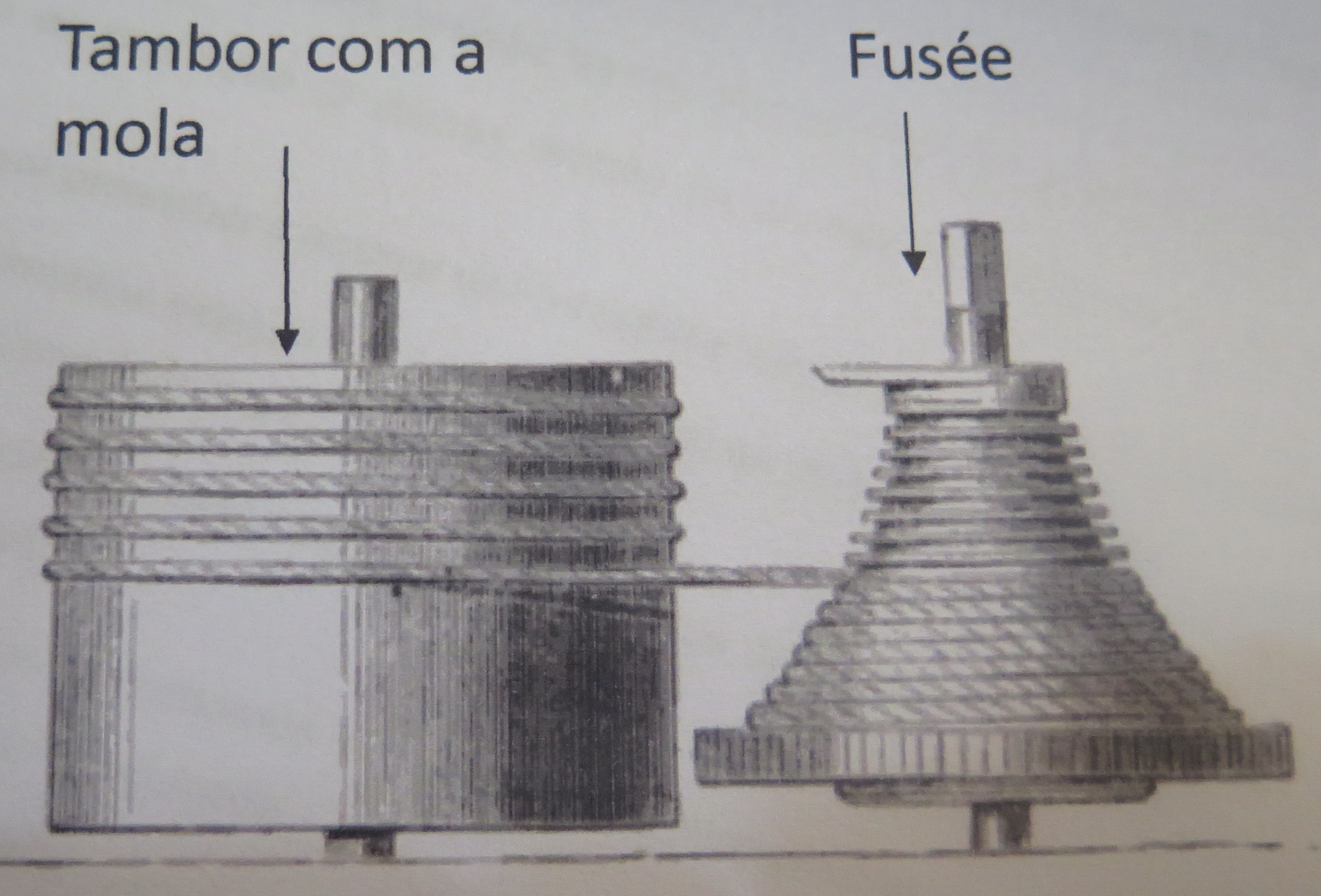 Sistema fusée